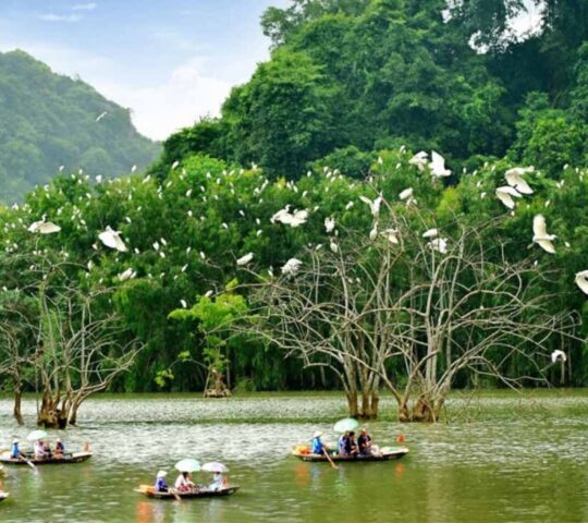 Khu du lịch sinh thái Vườn Chim Thung Nham, Thôn Hải Nham, Xã Ninh Hải, Hoa Lư, Ninh Bình